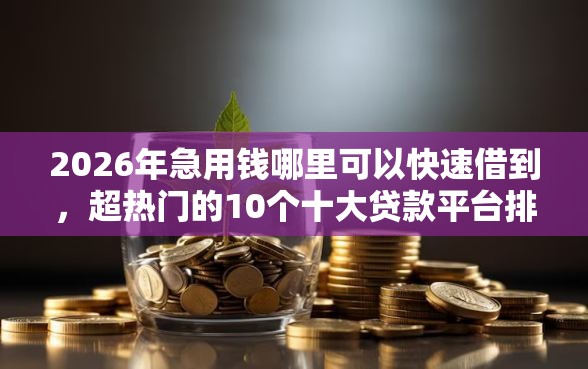 2026年急用钱哪里可以快速借到，超热门的10个十大贷款平台排名不分先后推荐