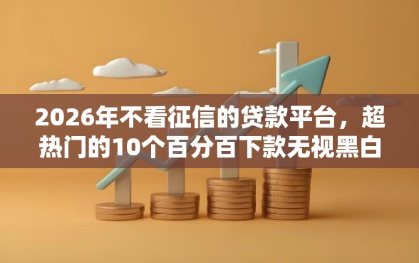 2026年不看征信的贷款平台，超热门的10个百分百下款无视黑白户网贷软件推荐