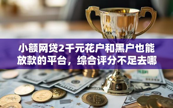 小额网贷2千元花户和黑户也能放款的平台，综合评分不足去哪借钱的8个平台介绍