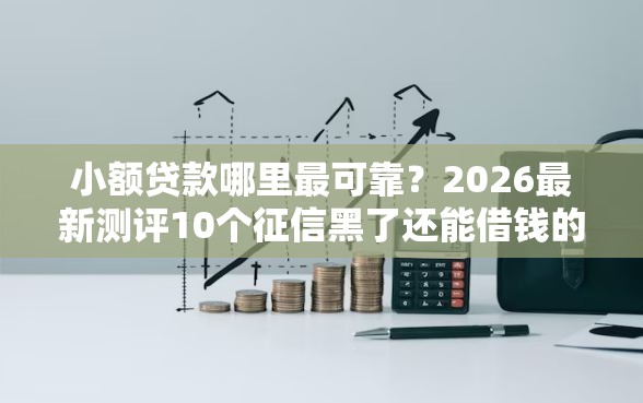 小额贷款哪里最可靠？2026最新测评10个征信黑了还能借钱的平台