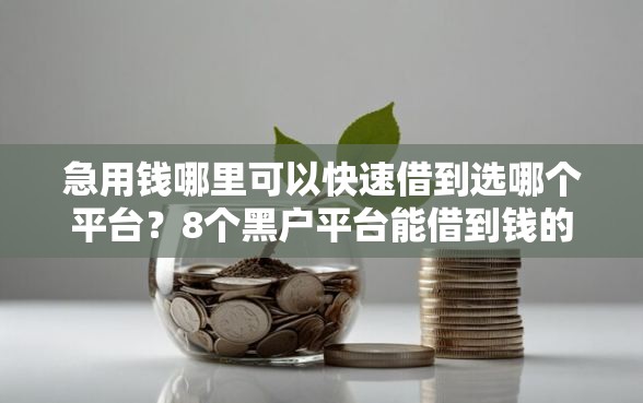 急用钱哪里可以快速借到选哪个平台？8个黑户平台能借到钱的推荐