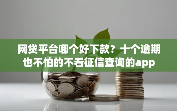 网贷平台哪个好下款？十个逾期也不怕的不看征信查询的app