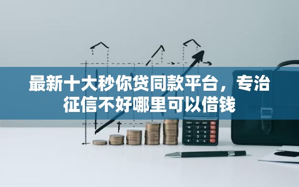 最新十大秒你贷同款平台，专治征信不好哪里可以借钱