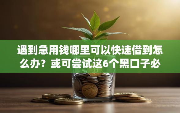 遇到急用钱哪里可以快速借到怎么办？或可尝试这6个黑口子必下款app