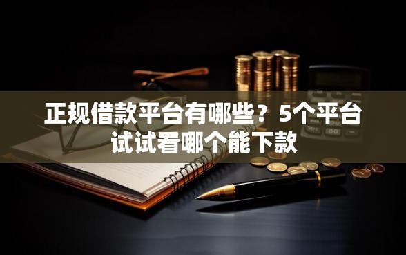 正规借款平台有哪些？5个平台试试看哪个能下款