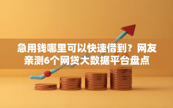 急用钱哪里可以快速借到?网友亲测6个网贷大数据平台盘点 急用钱哪里可以快速借到?网友亲测6个网贷大数据平台盘点