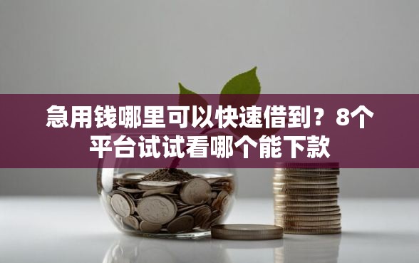 急用钱哪里可以快速借到？8个平台试试看哪个能下款