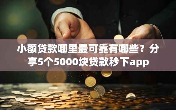 小额贷款哪里最可靠有哪些？分享5个5000块贷款秒下app