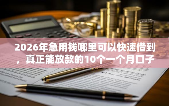 2026年急用钱哪里可以快速借到，真正能放款的10个一个月口子百分百下款的平台推荐