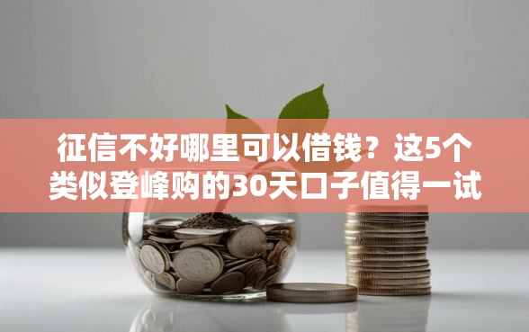 征信不好哪里可以借钱？这5个类似登峰购的30天口子值得一试