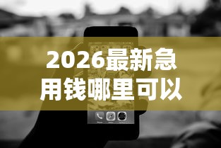 2026最新急用钱哪里可以快速借到,总结十个无视黑白的网贷平台! 2026最新急用钱哪里可以快速借到,总结十个无视黑白的网贷平台!