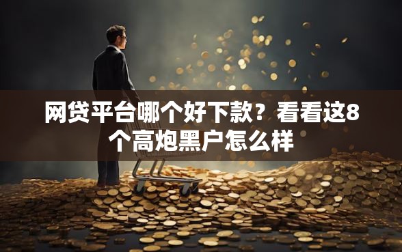 网贷平台哪个好下款？看看这8个高炮黑户怎么样