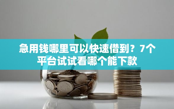 急用钱哪里可以快速借到？7个平台试试看哪个能下款