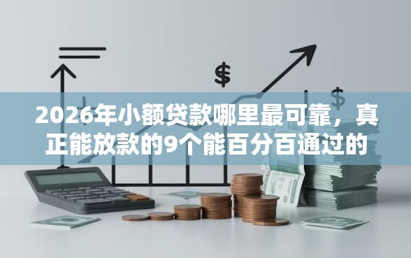 2026年小额贷款哪里最可靠，真正能放款的9个能百分百通过的网贷口子推荐