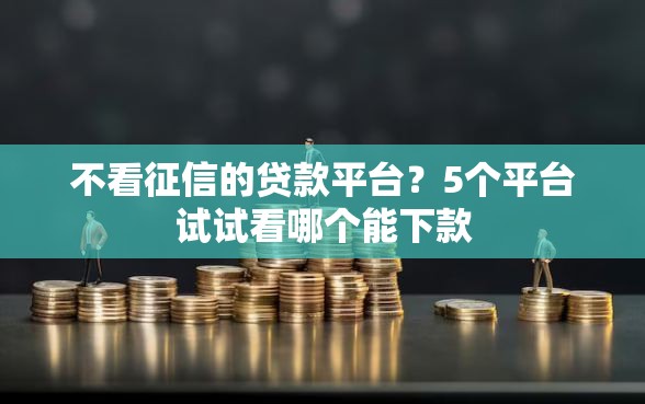 不看征信的贷款平台？5个平台试试看哪个能下款