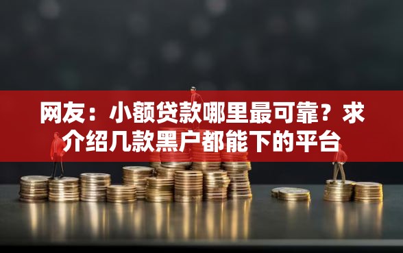 网友：小额贷款哪里最可靠？求介绍几款黑户都能下的平台