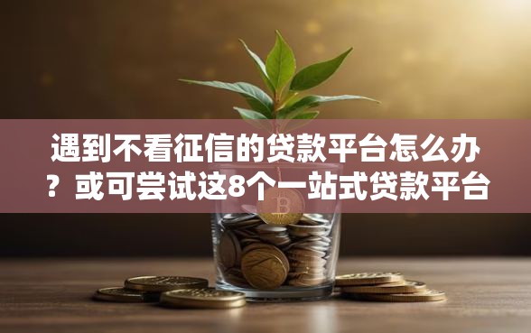遇到不看征信的贷款平台怎么办？或可尝试这8个一站式贷款平台