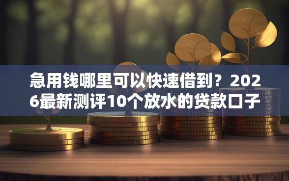 急用钱哪里可以快速借到？2026最新测评10个放水的贷款口子