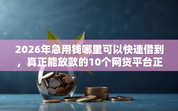 2026年急用钱哪里可以快速借到，真正能放款的10个网贷平台正规利息低推荐