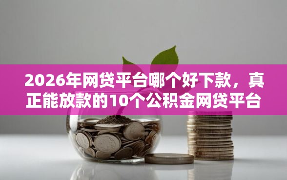 2026年网贷平台哪个好下款，真正能放款的10个公积金网贷平台推荐