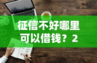 征信不好哪里可以借钱？2026最新测评10个真正无视征信花的平台