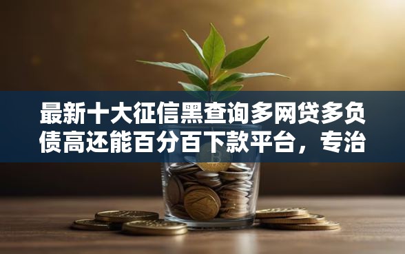最新十大征信黑查询多网贷多负债高还能百分百下款平台，专治征信不好哪里可以借钱