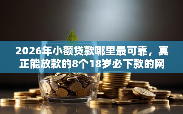 2026年小额贷款哪里最可靠，真正能放款的8个18岁必下款的网贷平台推荐