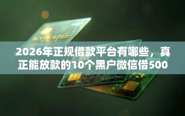2026年正规借款平台有哪些，真正能放款的10个黑户微信借500的平台推荐