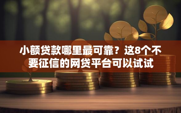 小额贷款哪里最可靠？这8个不要征信的网贷平台可以试试