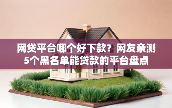 网贷平台哪个好下款？网友亲测5个黑名单能贷款的平台盘点
