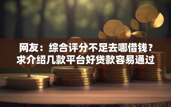网友：综合评分不足去哪借钱？求介绍几款平台好贷款容易通过