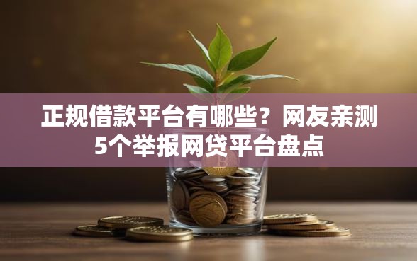 正规借款平台有哪些？网友亲测5个举报网贷平台盘点
