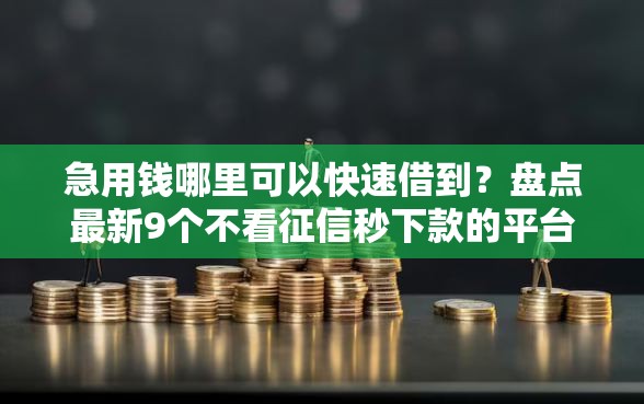 急用钱哪里可以快速借到？盘点最新9个不看征信秒下款的平台