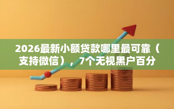 2026最新小额贷款哪里最可靠（支持微信），7个无视黑户百分百下款平台无私分享