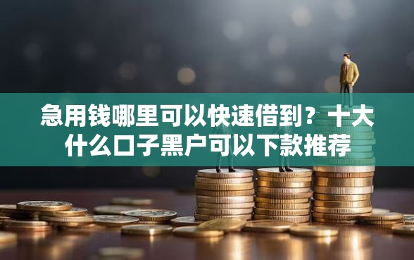 急用钱哪里可以快速借到？十大什么口子黑户可以下款推荐