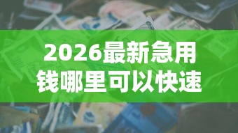 2026最新急用钱哪里可以快速借到（支持微信），6个周周到贷款相同系列的口子无私分享