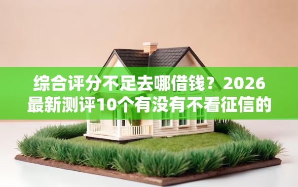 综合评分不足去哪借钱？2026最新测评10个有没有不看征信的平台借钱