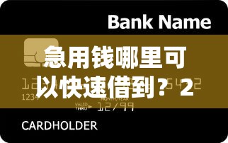 急用钱哪里可以快速借到？2026最新测评10个高能分期贷款软件新秀