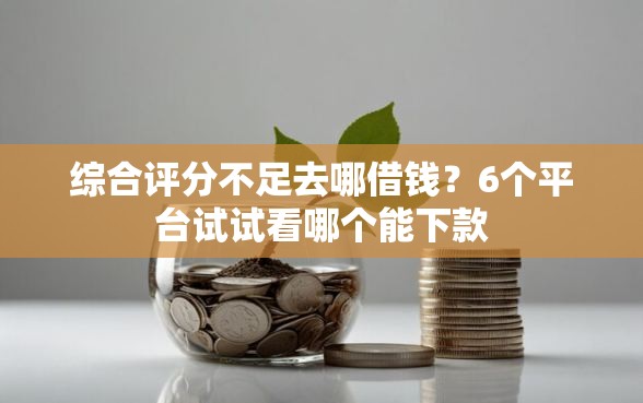综合评分不足去哪借钱？6个平台试试看哪个能下款