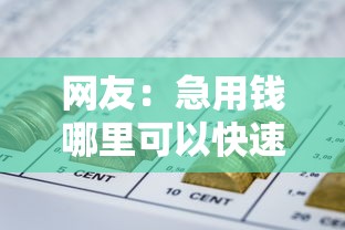 网友：急用钱哪里可以快速借到？求介绍几款网贷平台好