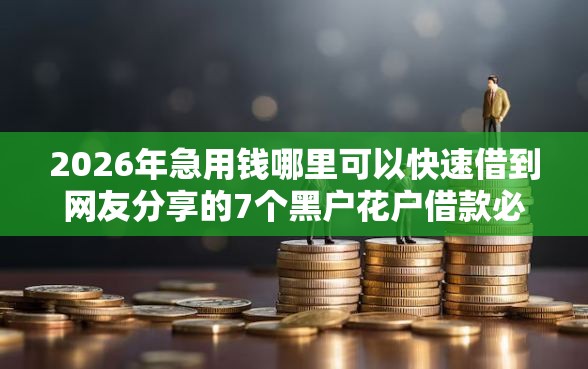 2026年急用钱哪里可以快速借到网友分享的7个黑户花户借款必下口子2025我觉得不错！