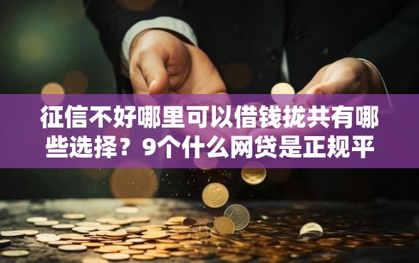 征信不好哪里可以借钱拢共有哪些选择？9个什么网贷是正规平台详解