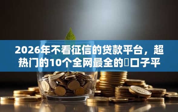 2026年不看征信的贷款平台，超热门的10个全网最全的黒口子平台推荐