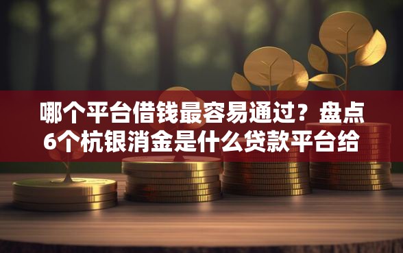 哪个平台借钱最容易通过？盘点6个杭银消金是什么贷款平台给你参考