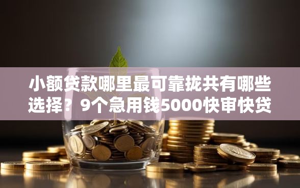 小额贷款哪里最可靠拢共有哪些选择？9个急用钱5000快审快贷无需征信口子详解