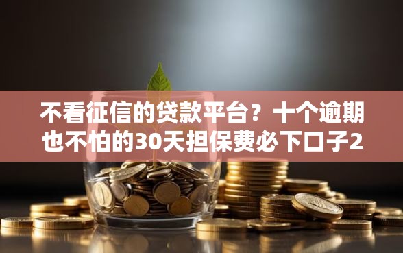 不看征信的贷款平台？十个逾期也不怕的30天担保费必下口子2025