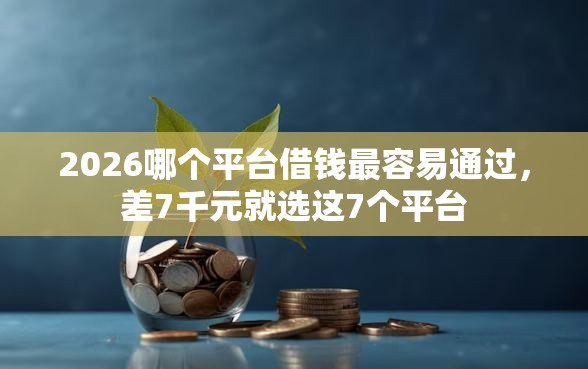 2026哪个平台借钱最容易通过，差7千元就选这7个平台