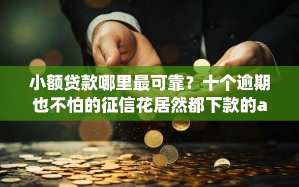小额贷款哪里最可靠？十个逾期也不怕的征信花居然都下款的app