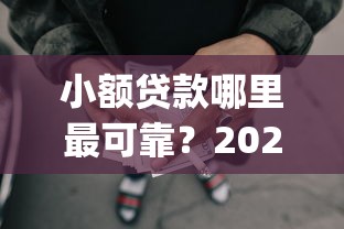 小额贷款哪里最可靠？2026最新测评10个网贷平台p2p