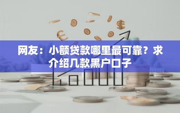 网友：小额贷款哪里最可靠？求介绍几款黑户口子